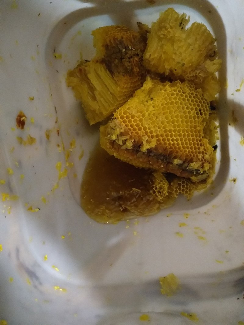 【热卖】云南岩蜂蜂蜜产地直销，一手货源全国发货