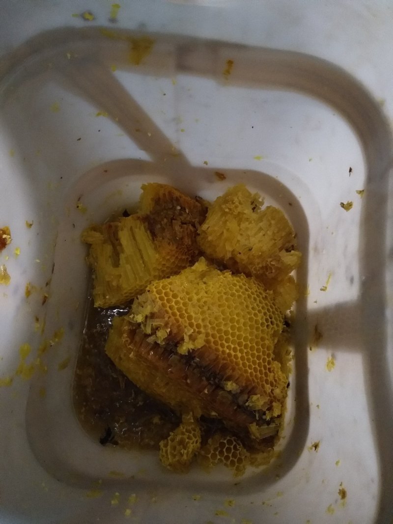 【热卖】云南岩蜂蜂蜜产地直销，一手货源全国发货