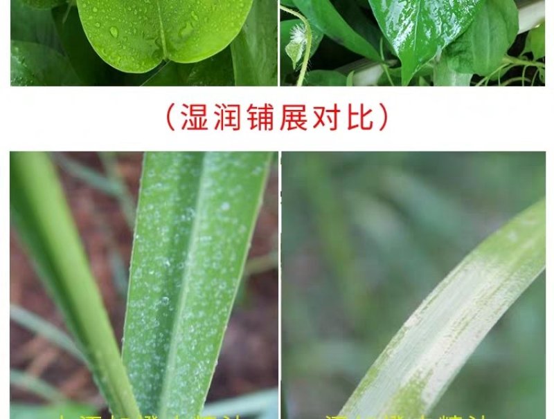 悦速展高效植物油100g高效助剂展着渗透溶蜡封闭增效剂