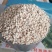 薏米仁低价出售