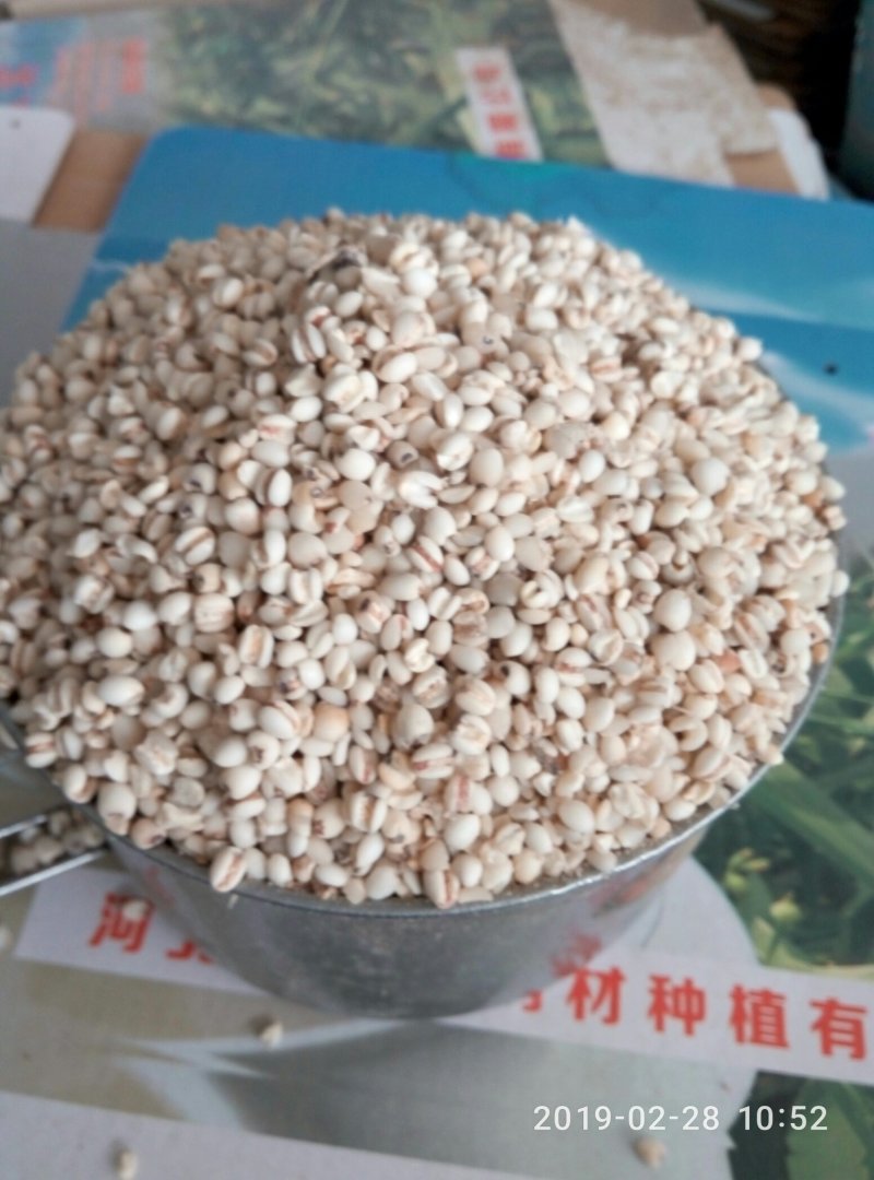 薏米仁低价出售