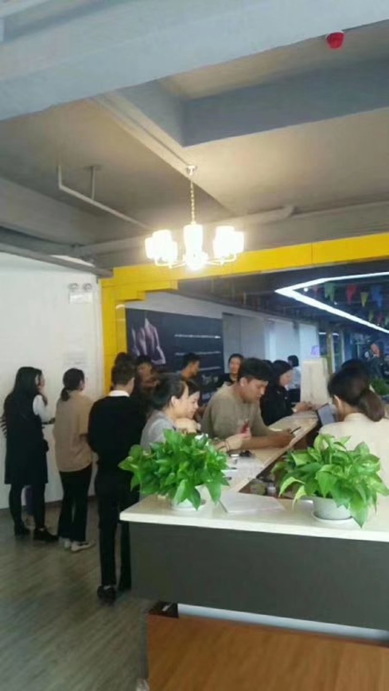 【送苗种植挂果回收】无籽黑老虎苗10株包邮可分期付款