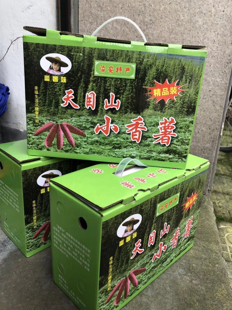 天目山小香薯超低价格微商一件代发金手指5斤装包邮