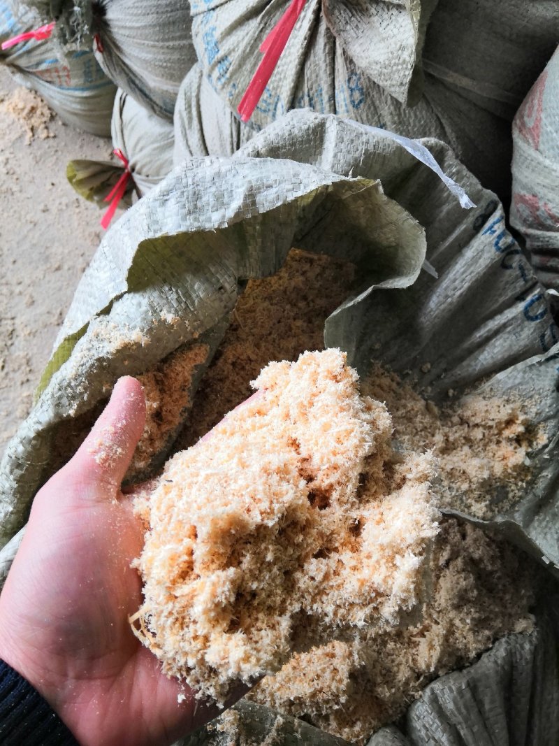 有大量杉木糠松木糠和杂木糠，种食用菌的首选
