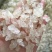 雪燕干货泡发好1斤起包邮量大从优