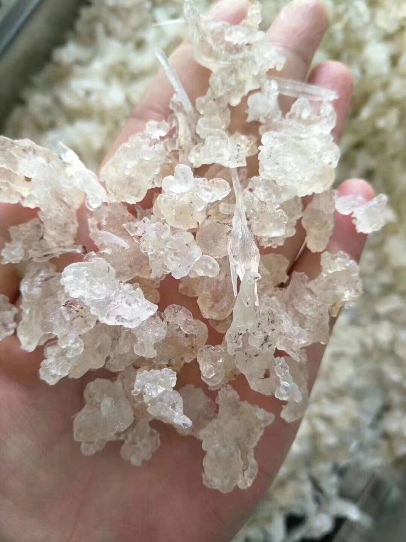 雪燕干货泡发好1斤起包邮量大从优