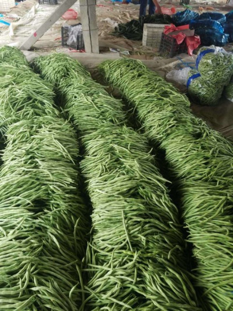 西瓜芸豆茄子西葫芦