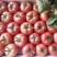 西红柿