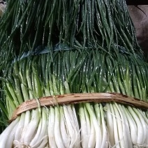 靓小葱！