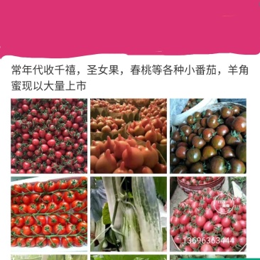 山东寿光田马代收