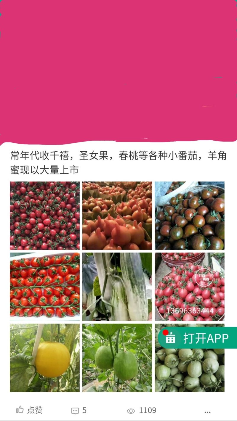 山东寿光田马代收