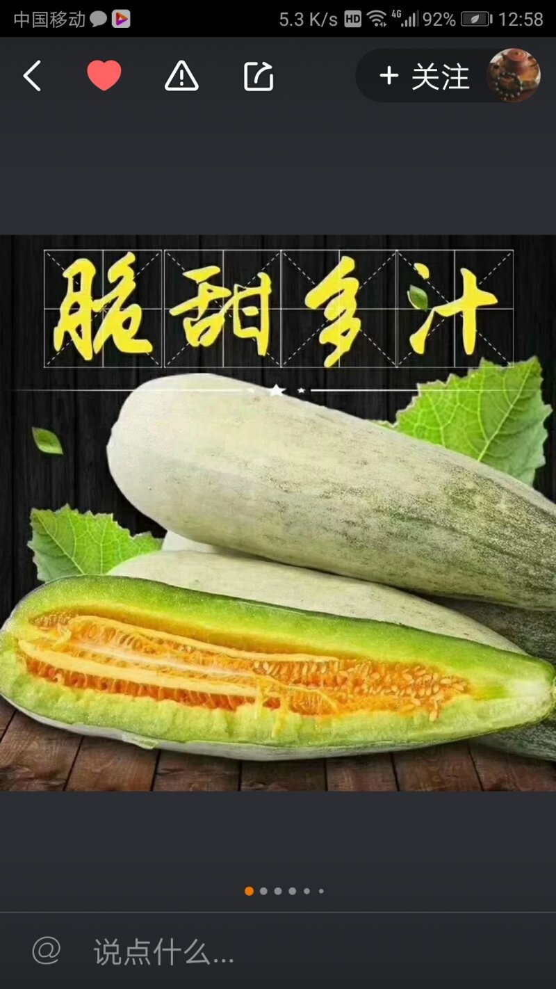 山东寿光田马代收