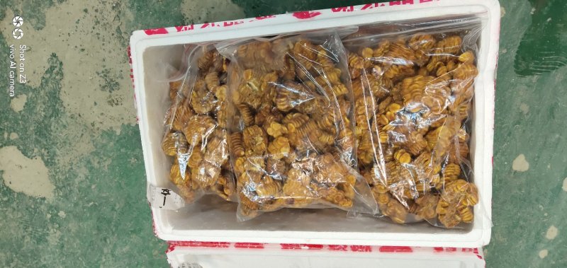 永福罗汉果仁（低温电烤）