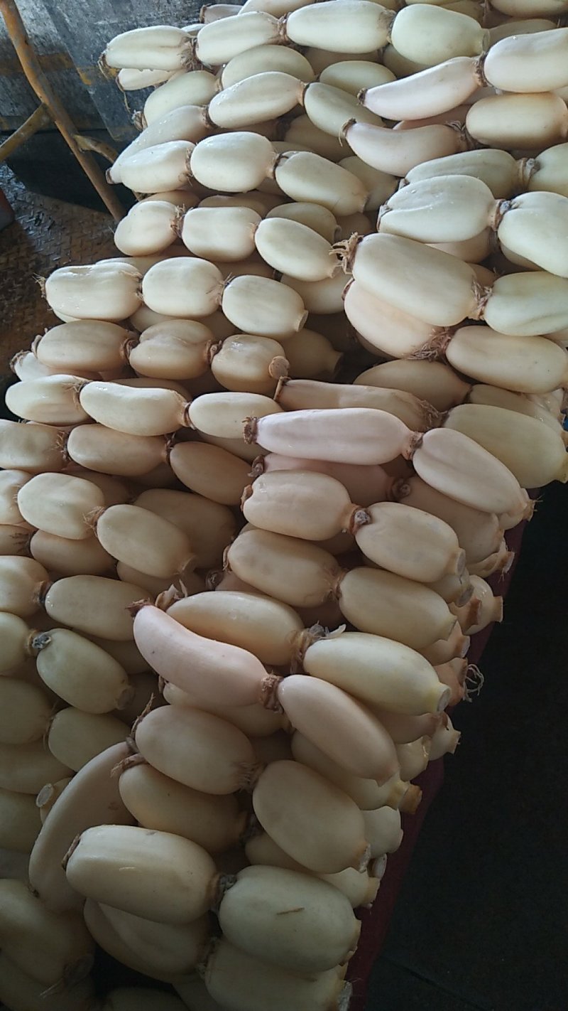 纯藕粉
