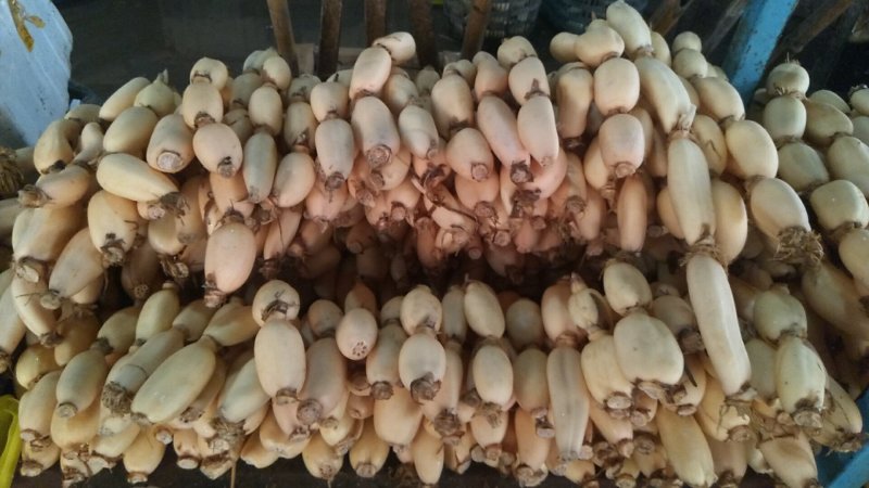 纯藕粉