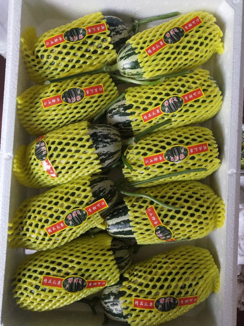 本地甜瓜羊角蜜，博洋系列沙白以