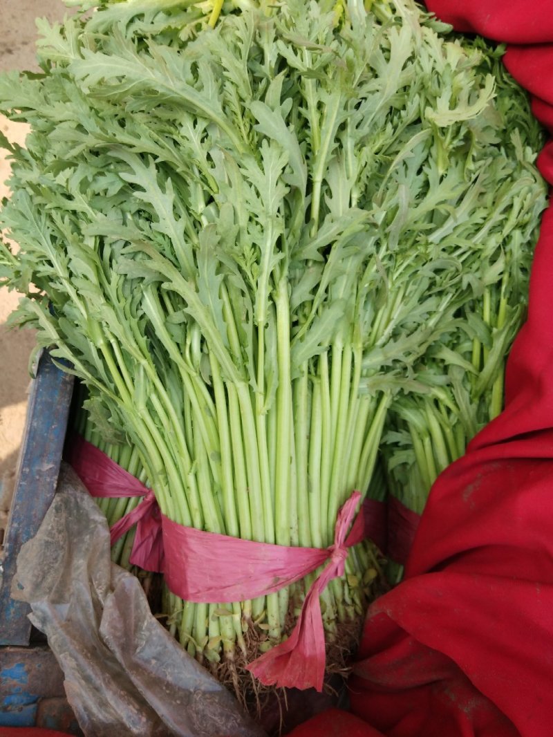 蒿子秆，本地长年供应各种蔬菜
