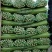 【精品芹菜】细棵，香芹中棵，大棵各种规格可供电商可优惠