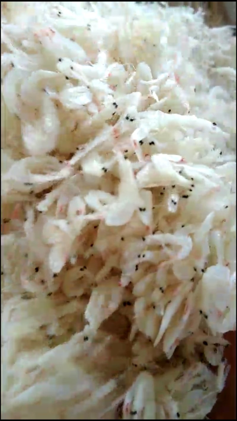 虾皮