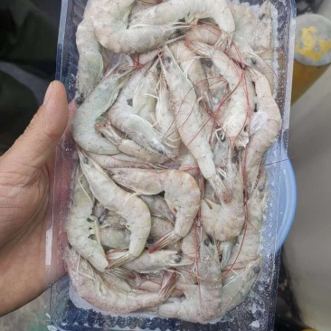 对虾