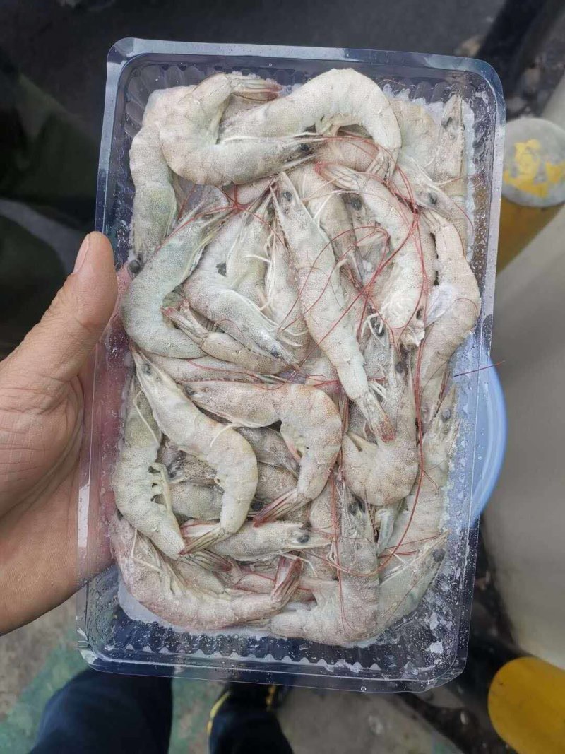 对虾