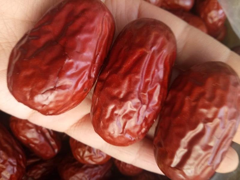 原产地新疆红枣厂家直供颗粒饱满，规格全，货源充足