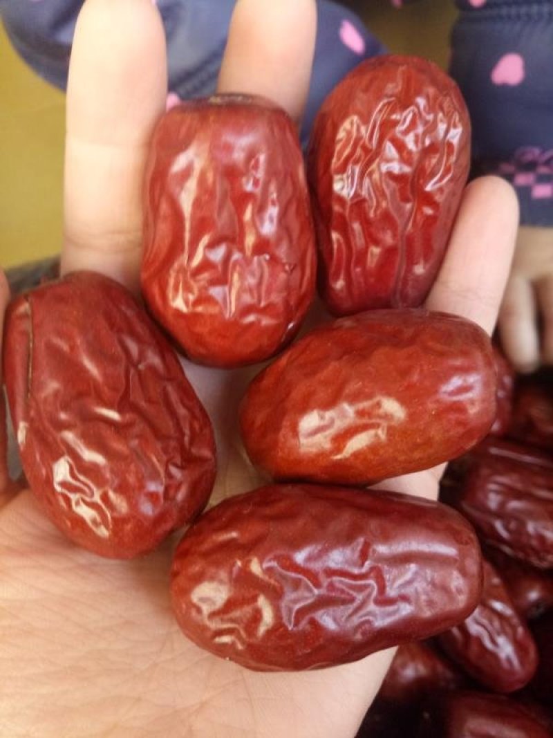 原产地新疆红枣厂家直供颗粒饱满，规格全，货源充足
