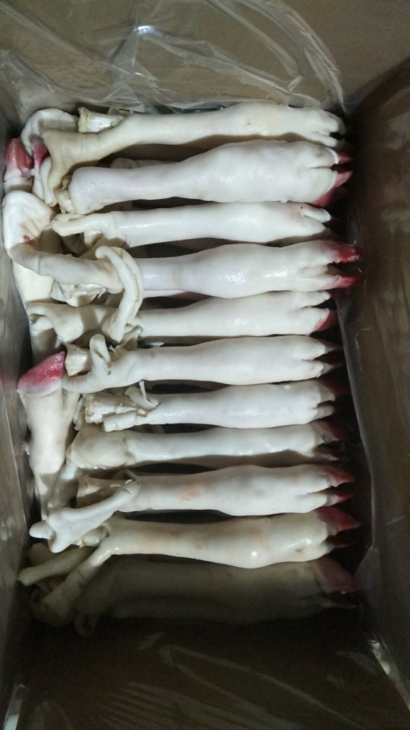 羊蹄