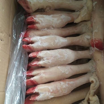 羊蹄