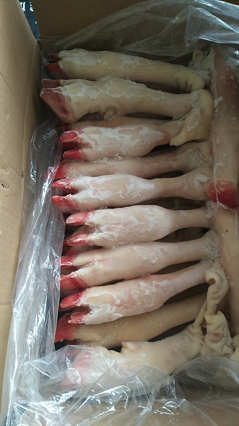 羊蹄