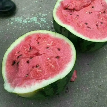 黑美人西瓜