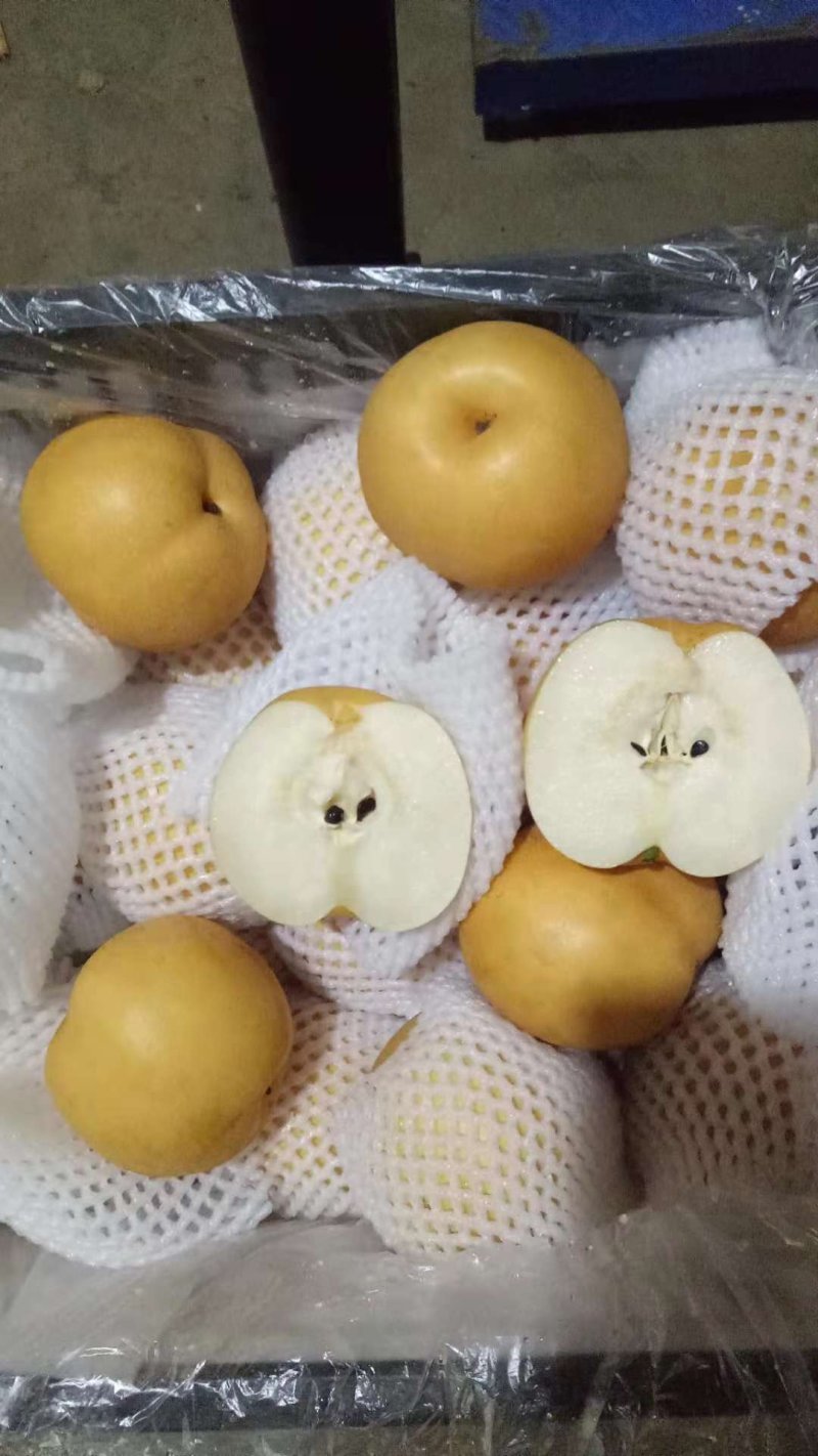 玉露香梨皮薄多汁香甜可口果园直发一手货源诚信经营