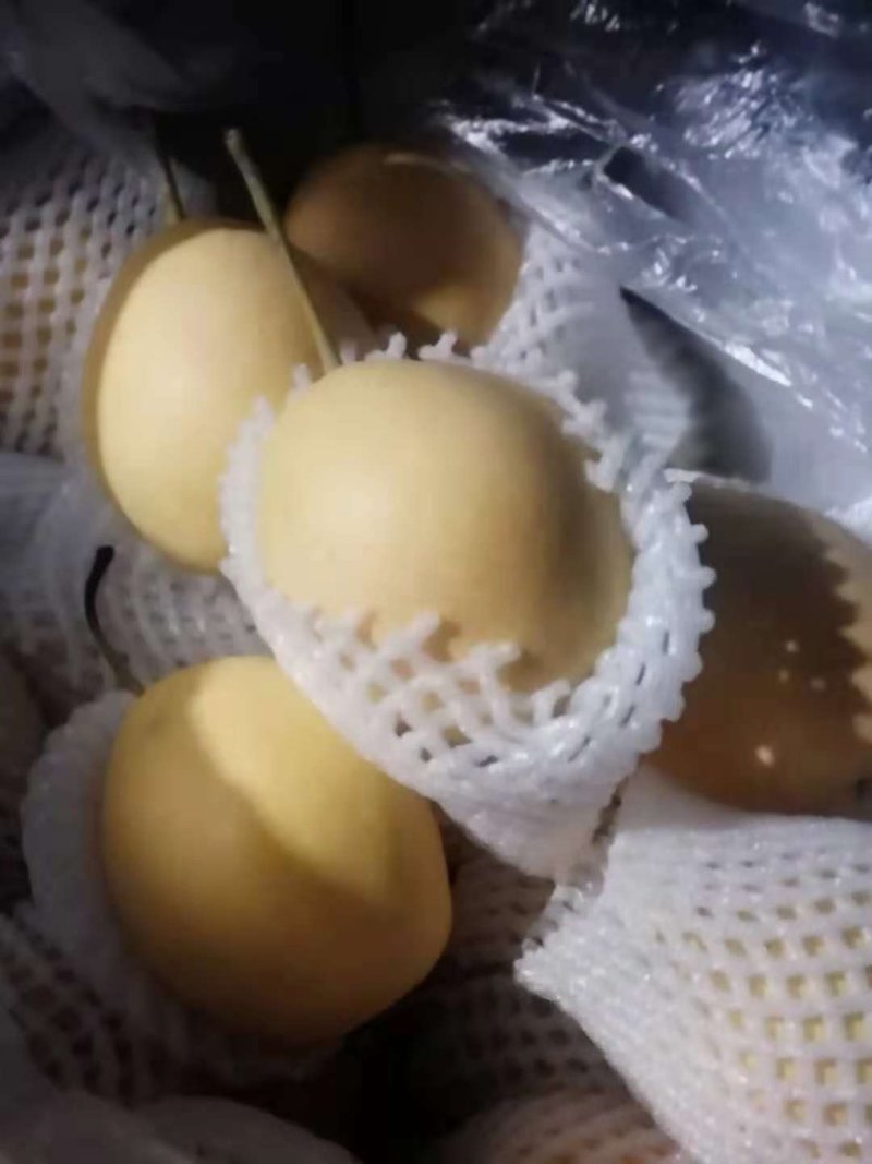 玉露香梨皮薄多汁香甜可口果园直发一手货源诚信经营