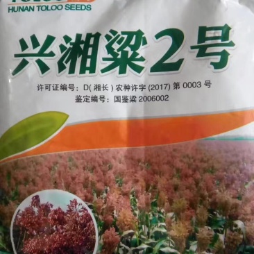 {诚信商家}糯高粱种子，存活率高，技术指导，量大从优，