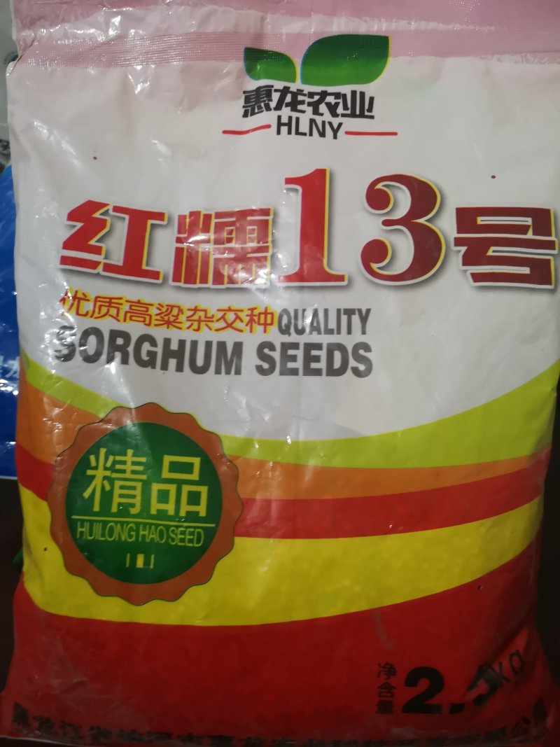 糯高粱种子