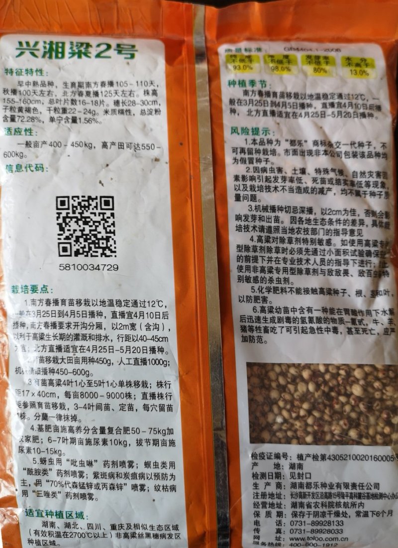糯高粱种子
