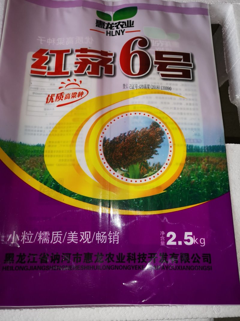 糯高粱种子