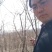 1-5公分牛筋树，流苏树，流苏小苗，占地流苏苗