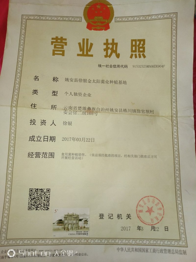 新鲜金耳