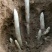 白芦笋营养丰富蔬菜当天采当天发货笋质鲜嫩