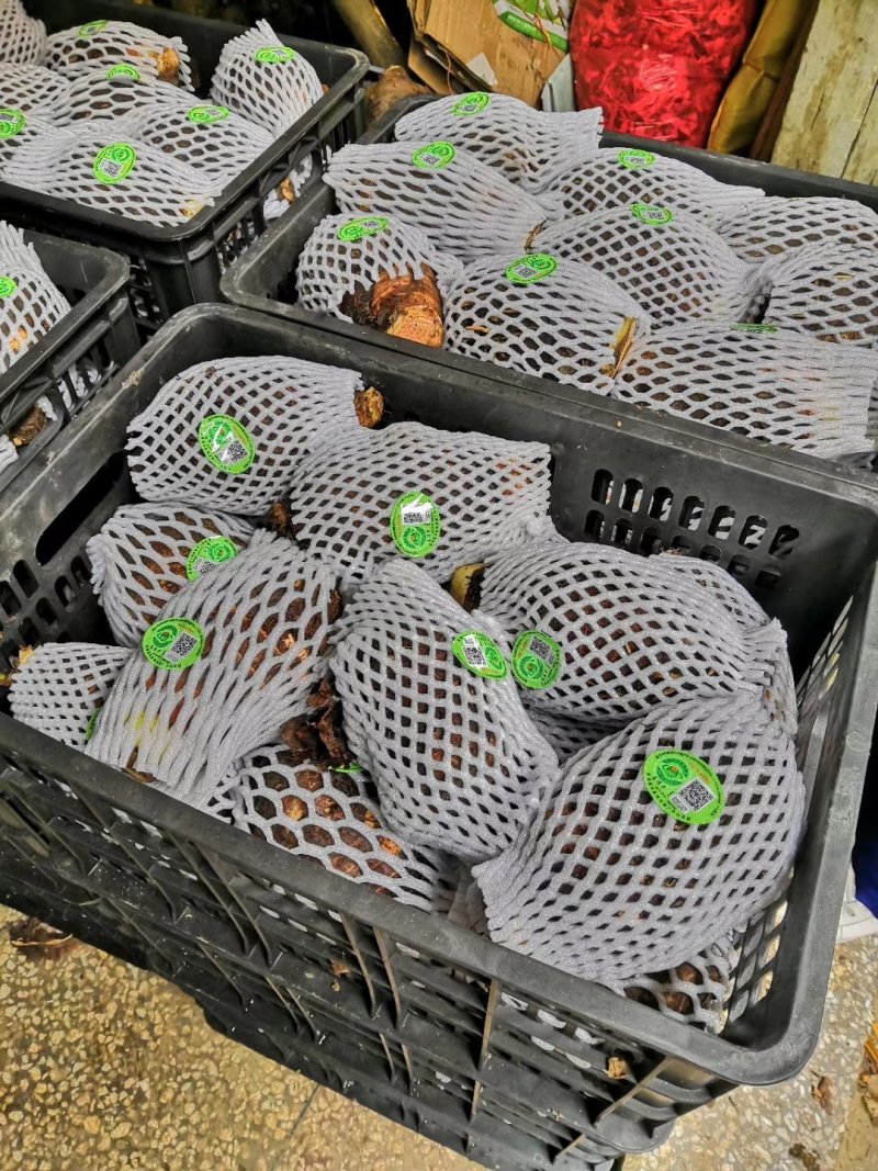 正中荔浦香芋，很粉。