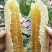 纯天然，无添加，蜂产品
