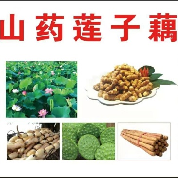 铁棍山药饼