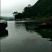 大小鲶鱼