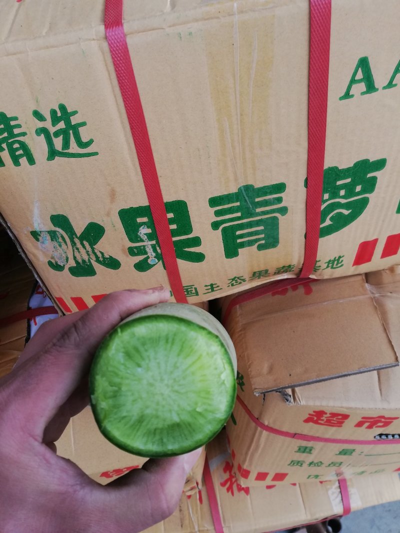 山东水果萝卜1-1.5斤供应超市，电商，加工厂