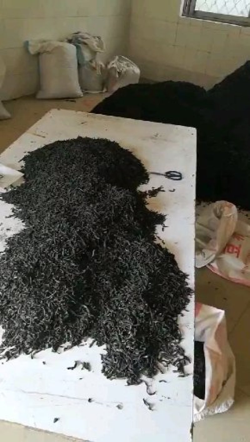 宽体吊杆，宽体种苗