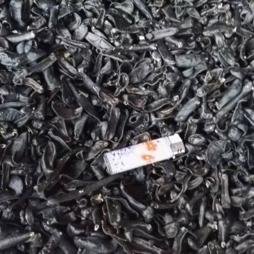 宽体吊杆，宽体种苗