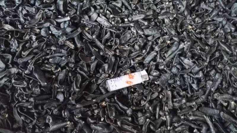宽体吊杆，宽体种苗
