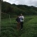 绞股蓝条形产地供应条形紧缩颜色翠绿无杂质
