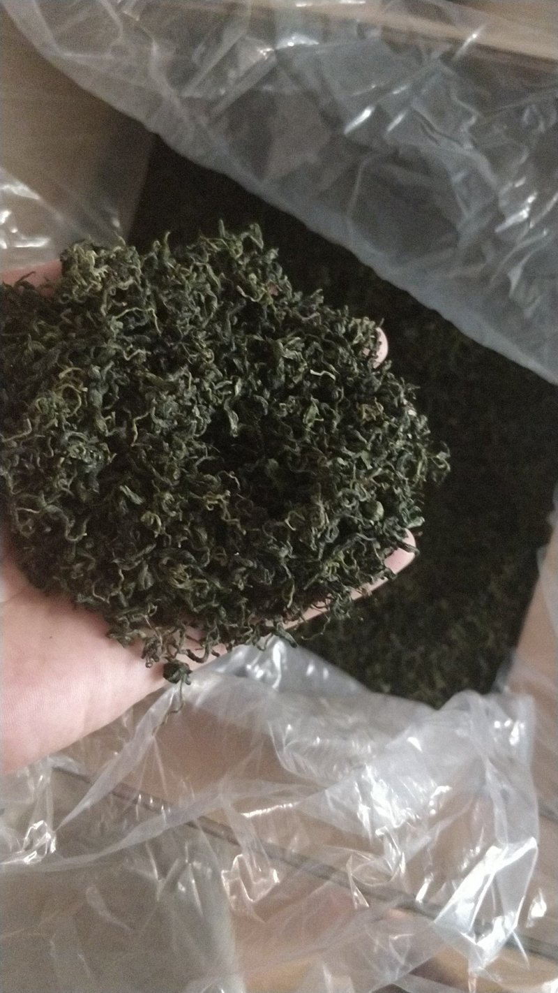 绞股蓝条形产地供应条形紧缩颜色翠绿无杂质